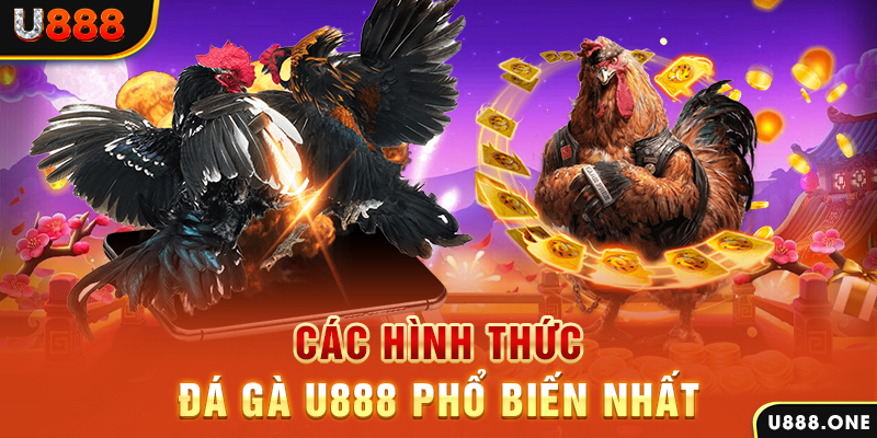 Các hình thức đá gà KUBET phổ biến nhất