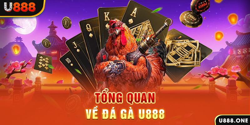 Tổng quan về Đá Gà KUBET