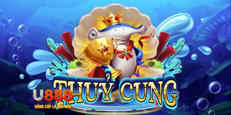 Kinh nghiệm quay hũ Thủy Cung từ cao thủ “lão làng” KUBET